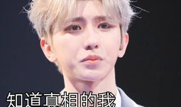 蔡徐坤 吃瓜爆料视频,揭秘娱乐圈幕后真相